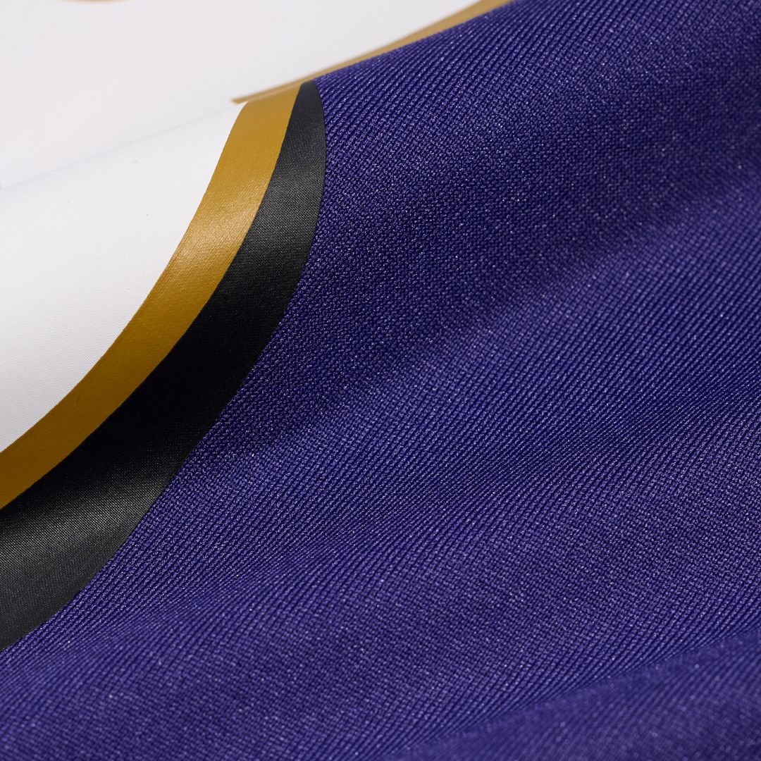 LaJohntay Wester Baltimore Ravens Nike Team Game Jersey -  Purple